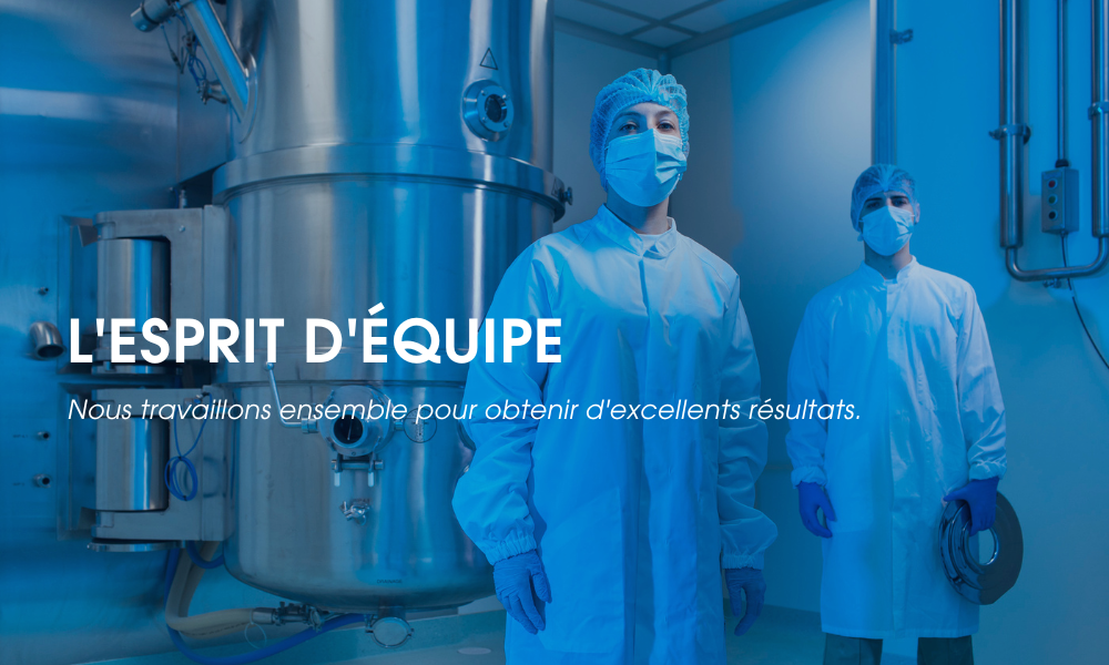 L'ESPRIT D'ÉQUIPE