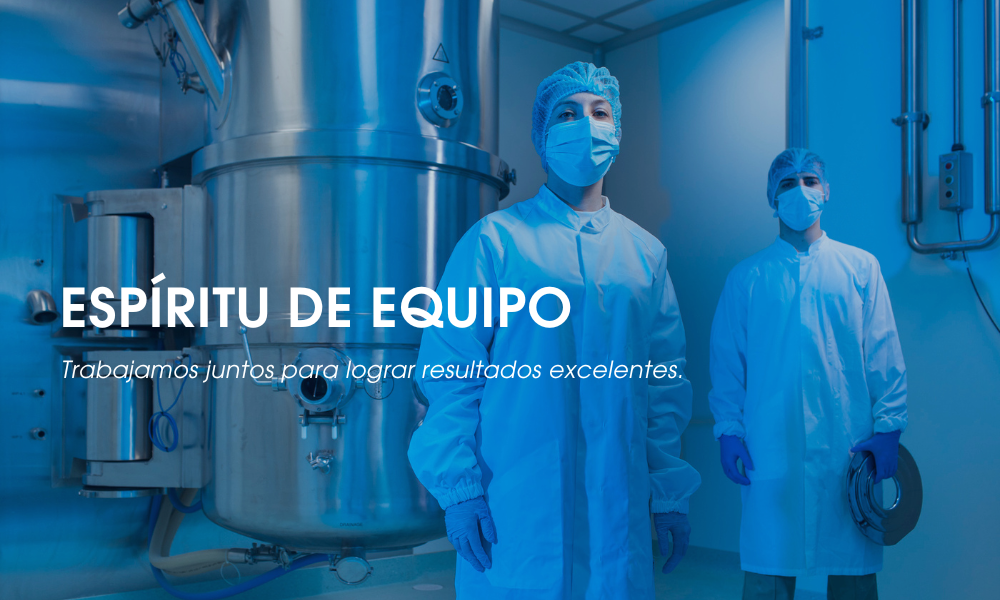 ESPÍRITU DE EQUIPO