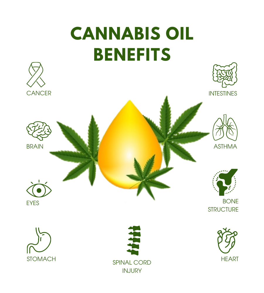 Testimony of Maine Public Health Association in Opposition to: LD 1952: An  Act to Allow On-site Cannabis Consumption Joint Stan, image size:900x1000