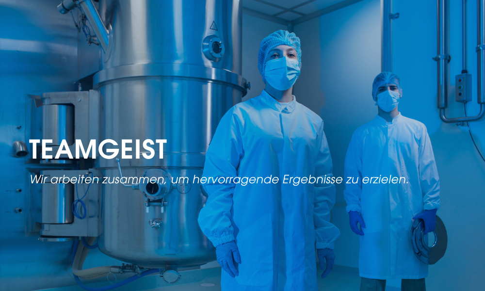 TEAMGEIST